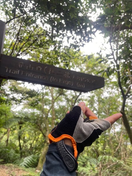 微笑山⛰️線-大棟-二格山-五分山-天上山-鳶山💎12條步道完成💙2834164