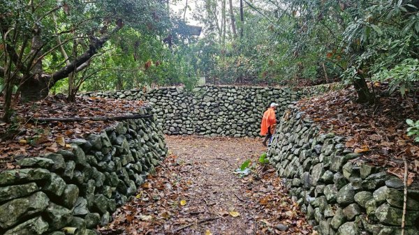 20250413浸水營古道2760345