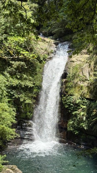 戲水（鴛鴦2786740