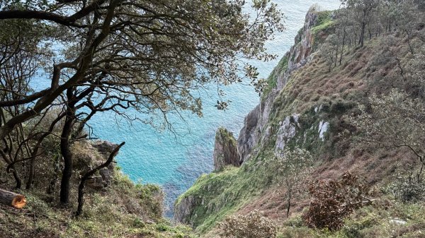 燈塔與懸崖 + 桑托尼亞的布西耶羅峰 🇪🇸 西班牙2771449