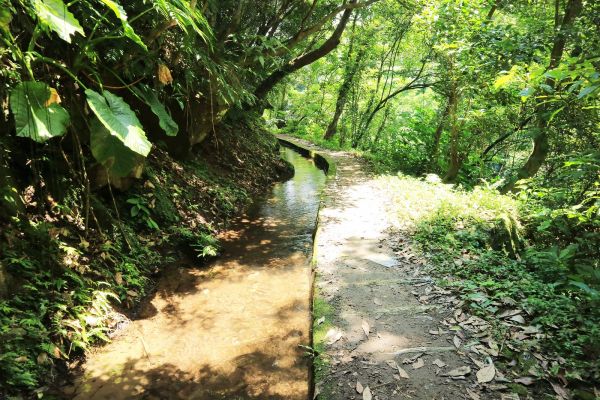 夏日消暑步道~狗殷勤古道菁華版142122