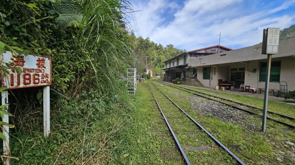 【四大天王山O型縱走未竟之旅：封山中的靜謐與省思】解鎖嘉義竹崎四大天王山、知鳥山。2929919