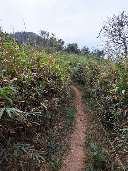 鱈葉根山+真笠山+白賓山縱走(救援中繼站起登)202302272046058