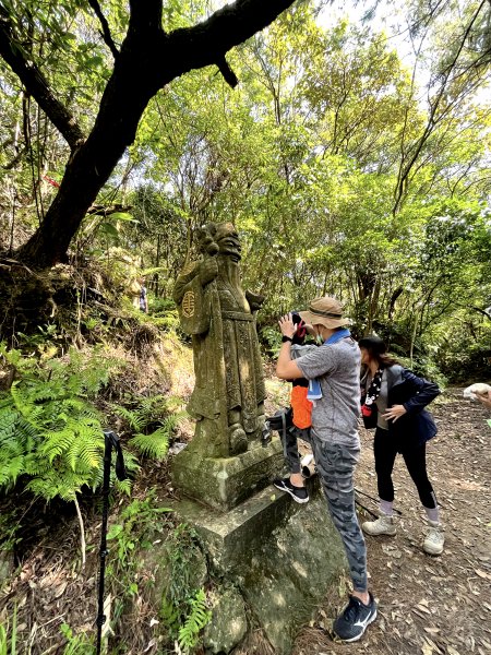 2021-11 台北大縱走第4段-風櫃口至大湖公園1545647