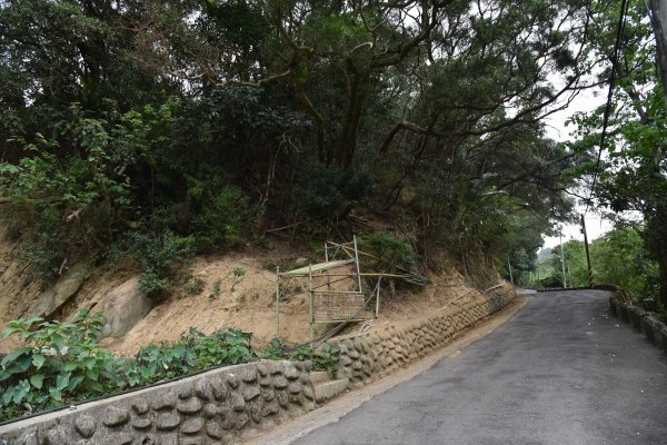 樹林大棟山／小百岳0151408557