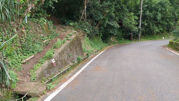 石碇 O 型縱走大崙古道・崩山大崙・華梵大學・熱腸古道・磨石坑山2803272