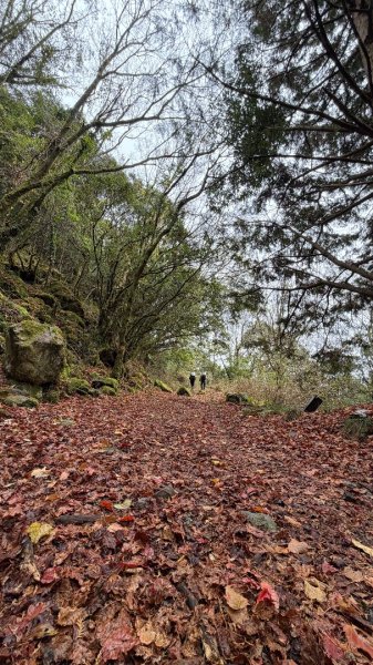 小關山 神池 2026 01/09 兩天一夜2982135