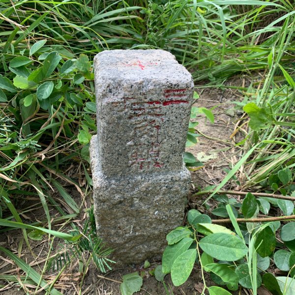 20250830台南牛長山2877109