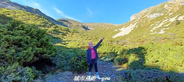 【台中和平】山迢路遠換壯闊山景。 No75百岳雪山東峰xNo2百岳雪山主峰 (兩天兩夜)2347682
