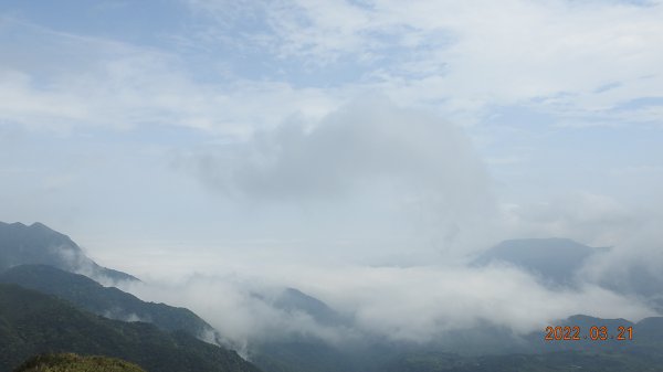 陽明山趴趴走，整天差強人意雲海1650828