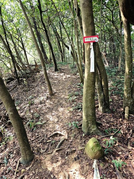 三段崎古道-2025森遊竹縣皮皮獅探險隊2890109