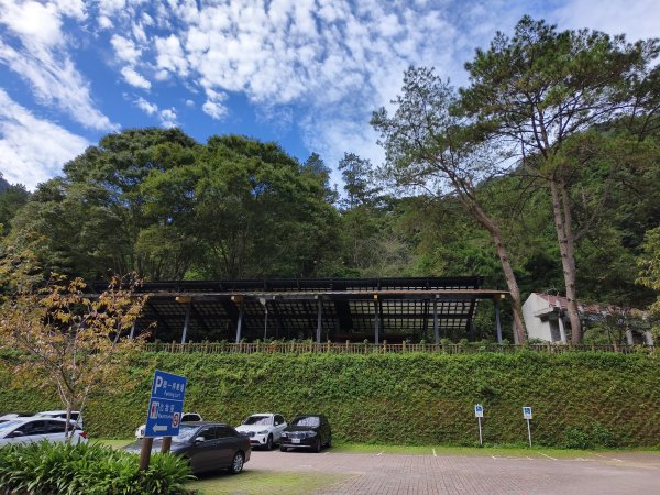 [百山百鳥尋旅-07/15] 2025_0831 八仙山國家森林遊樂區步道群2875968