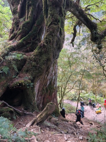 加羅湖 加羅山542525