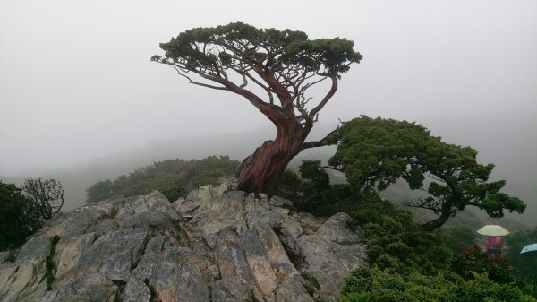 向陽山441812