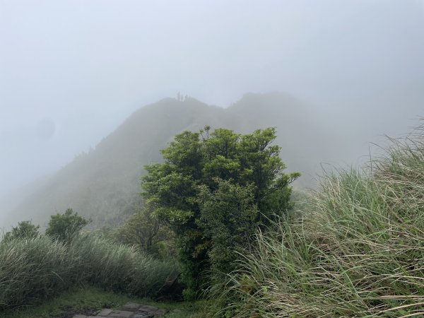 台北大縱走32769691