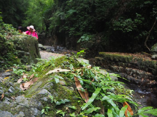 《宜蘭》小太魯閣｜礁溪林美石磐步道201805172889148