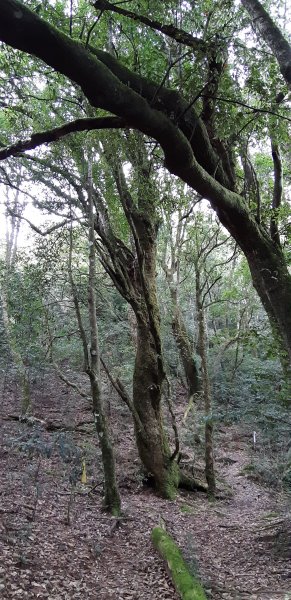 白姑大山之旅743416