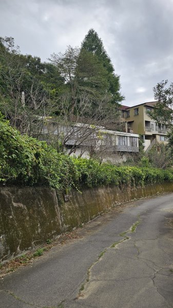 【山形暗影綽綽，我們步履不停，只為那枚海拔千尺下的獨特三角點。】小百岳#044暗影山2943636