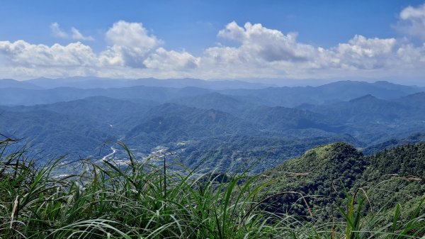 《老鷹怎麼這麼多》五分山_小百岳#101146501