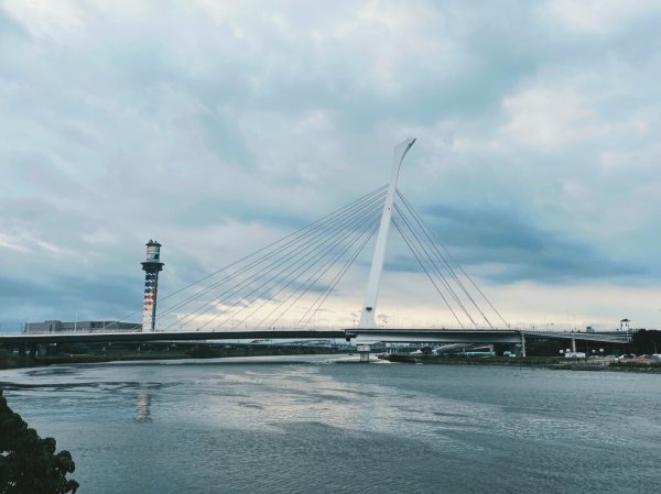 2023 臺北大縱走 8：捷運關渡站至華江雁鴨自然公園(上)2079485