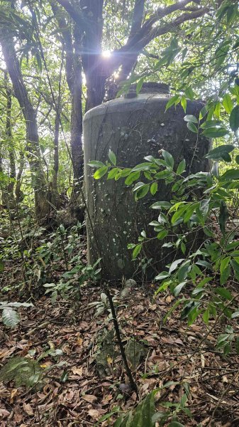 20251015木尾山-竹子湖水尾山-竹子湖西峰(騎車爬山)2915983