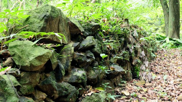 玉田古道,大湖越嶺保甲路2582313