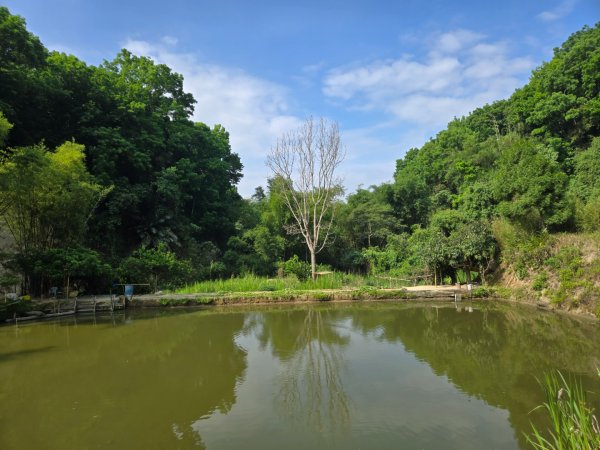 新化林場後山步道2776968