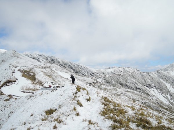 合歡山也有藏王樹冰的雪景510337