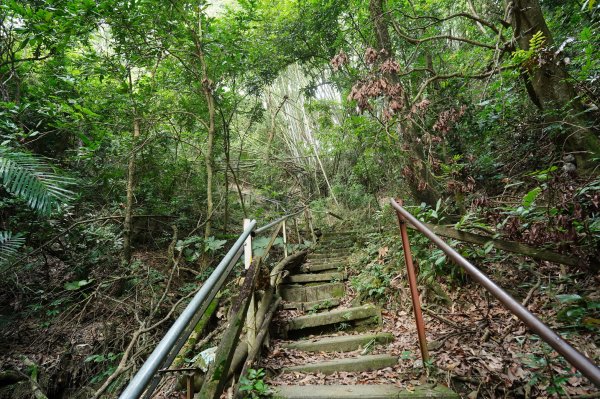 臺中 北屯 南觀音山2638625