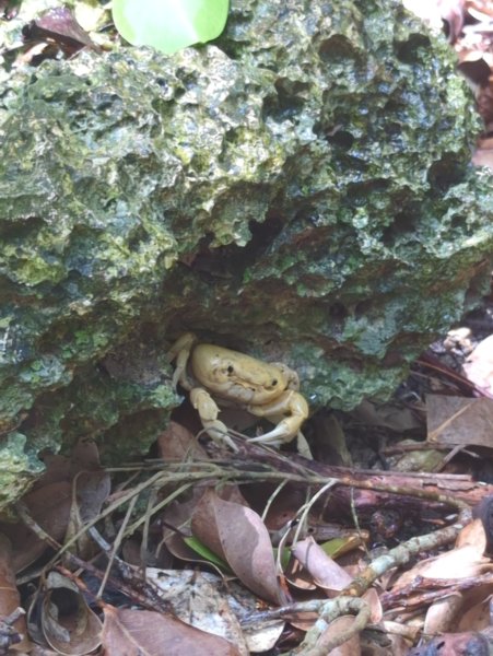 2024.06.09－墾丁國家公園2523880