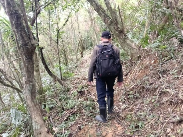 頭城鎮外大溪山+七兄弟山+窖寮山O型3016004