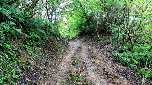 微笑山線405高地段2844166