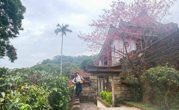 圓通寺烘爐地登山步道大O走3007142
