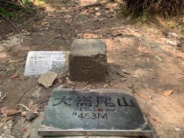 大崙頭尾山親山步道2767182