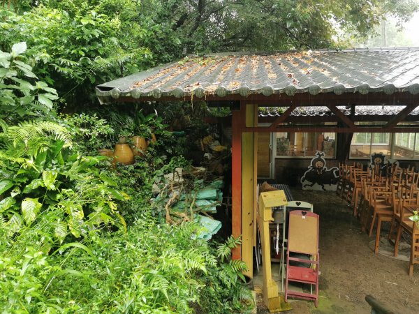 雨中漫步北部山岳-二格山、土庫岳、象山道1136712