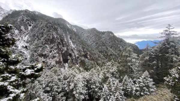 塔塔加-排雲山莊。驚喜滿分的糖霜雪景1565854