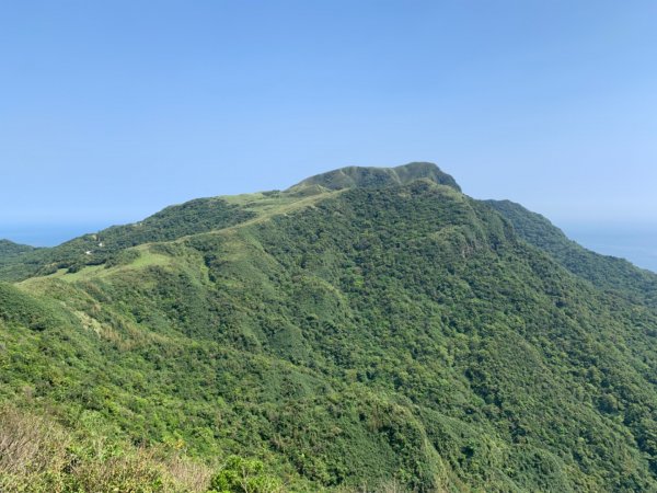 桃源谷步道-灣坑頭山（小百岳）-草嶺古道1867334