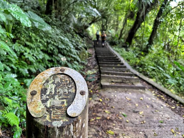 馬胎古道 南坪古道 內灣老街2027063