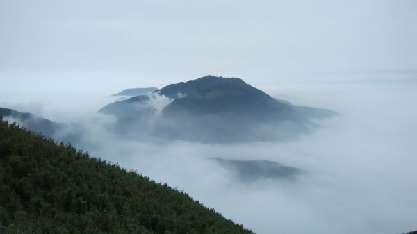 大屯山雲海107652