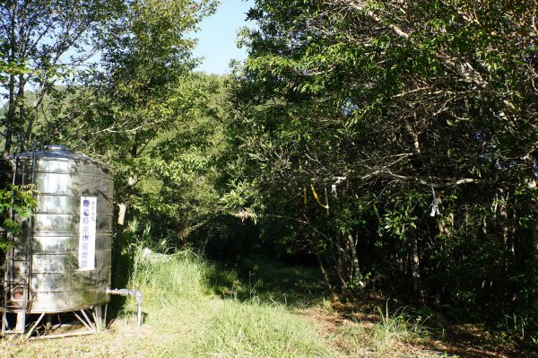 桃園 復興 把家灣山、低陸山2865346