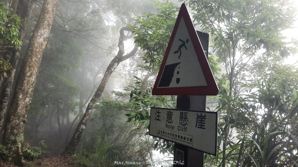 《雲林》望好望角｜石壁山嘉南雲峰步道(中側登山口）202506072805409