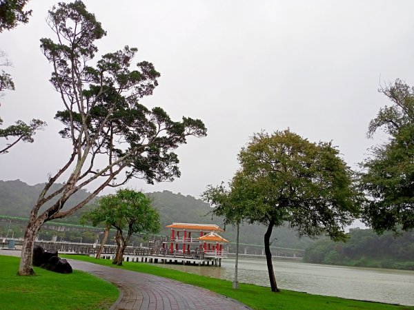 大湖公園 (防災公園)【走路趣尋寶】1897934