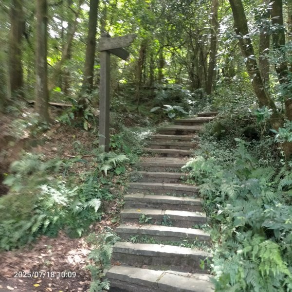 臺北大縱走第二段：二子坪至小油坑2840541