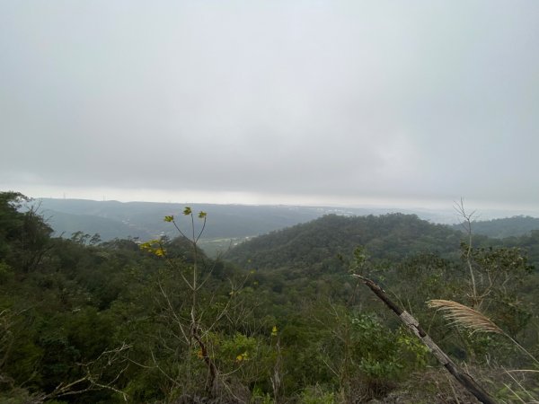 苗栗三義-三員縱走2616453