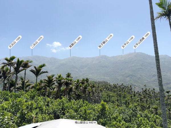 嘉義-圳北古道2763680