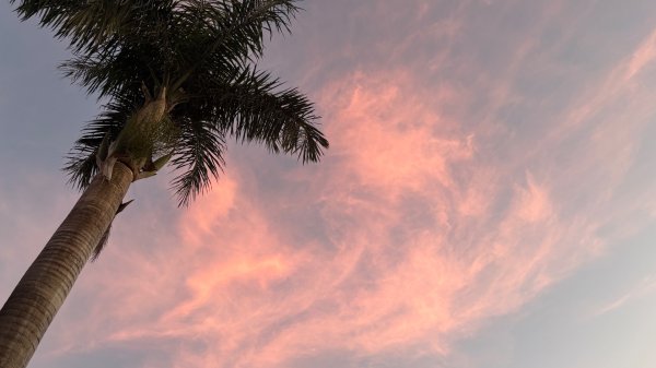 觀音山連峰3000290