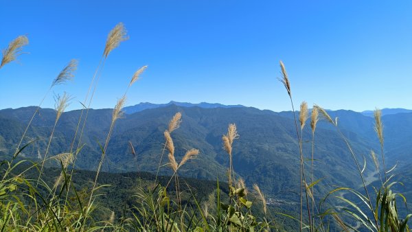 頂湖六連峰 2021年12月4日1537675