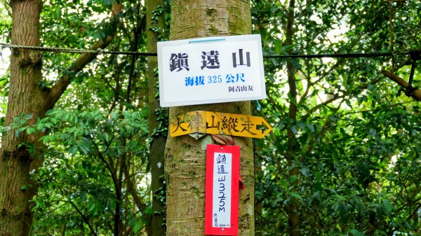 微笑山線405高地段2844170