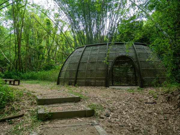 石牌坑親水步道、密毛魔芋、四面佛寺2147356