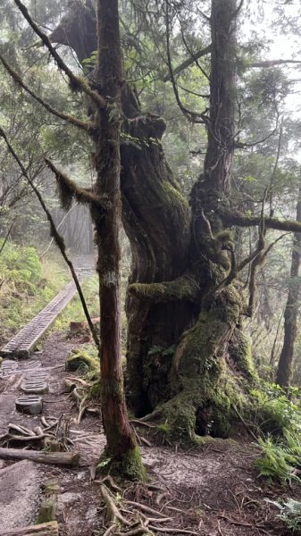 太平山翠峰湖環山步道2551628